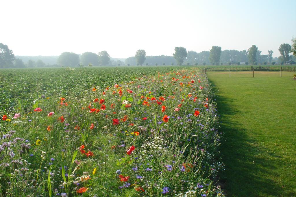 Lodgerie Het Groene Geheim Almere Kültér fotó