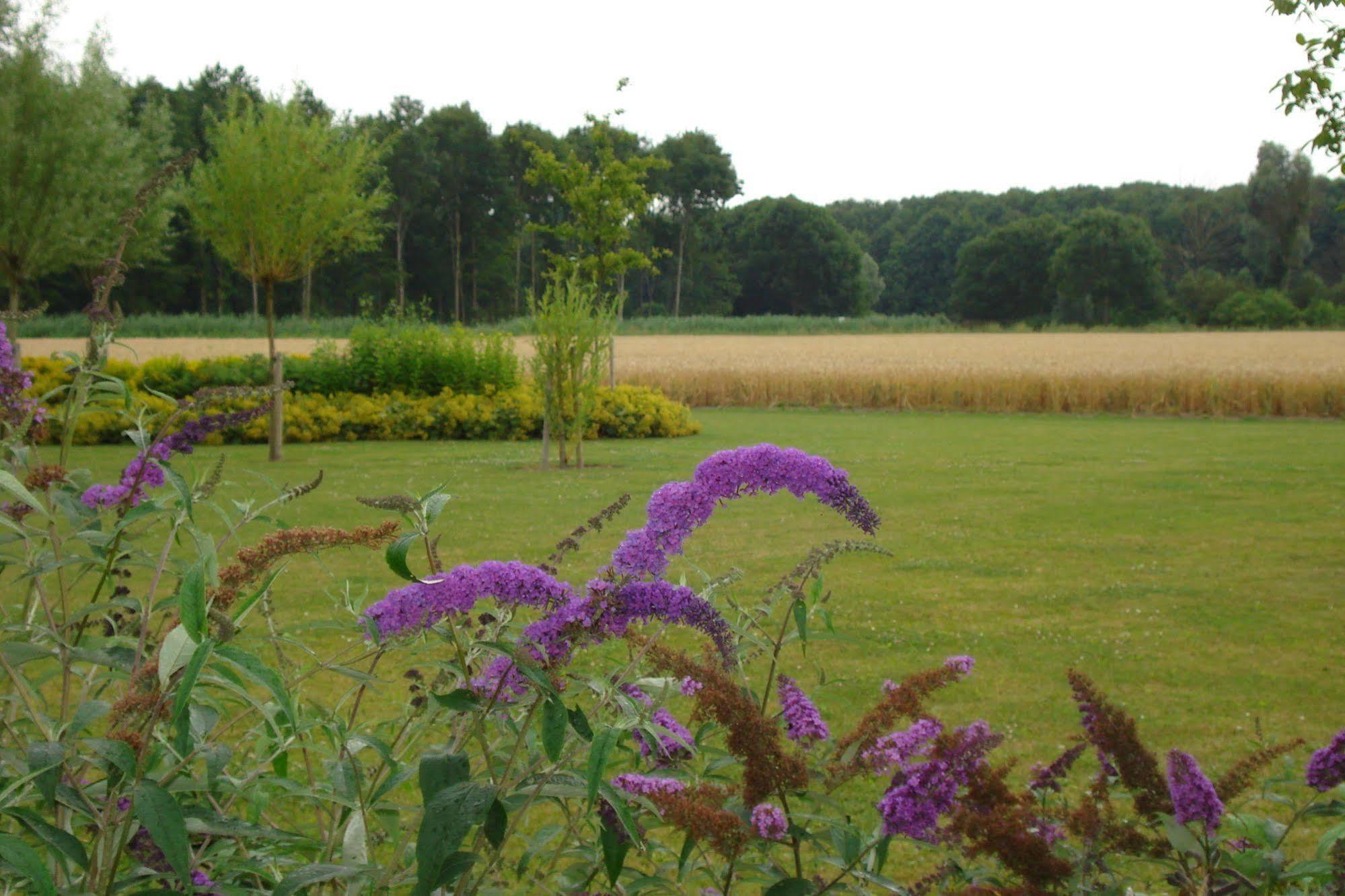 Lodgerie Het Groene Geheim Almere Kültér fotó